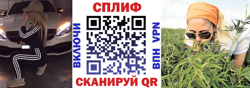 Бошки Шишки VHQ  Мурино 